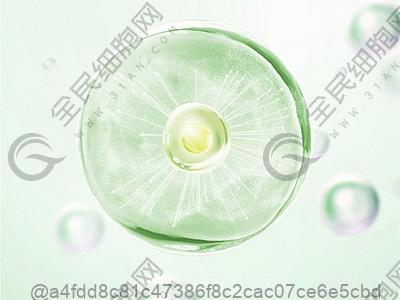 牡丹江干细胞库有哪几家?
