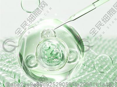 十堰较好干细胞公司排名