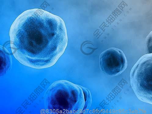 河南免疫细胞在哪里可以打？河南免疫细胞多少钱一针