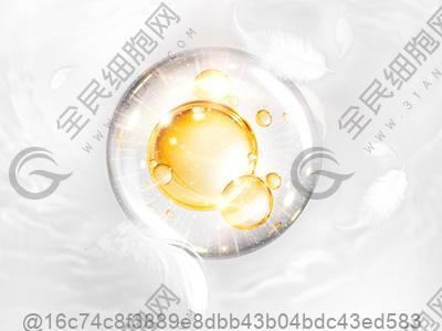 南阳干细胞医院哪家好，上榜前十名单公布