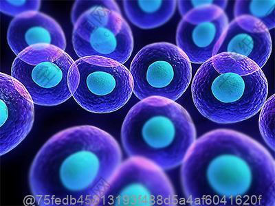 保定干细胞机构哪家好，2024机构名单公布