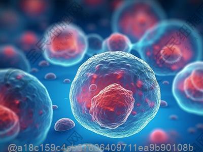 楚雄干细胞多少钱一针？附干细胞费用介绍