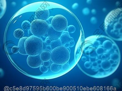 温州干细胞多少钱一针？附干细胞费用介绍