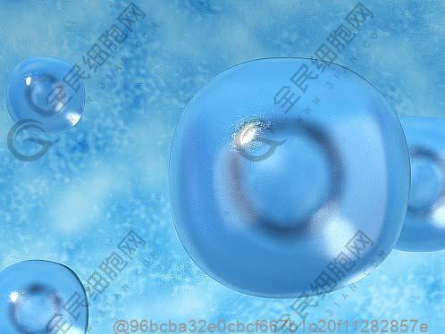 济宁免疫细胞注射多少钱?做免疫细胞的价格具体是多少