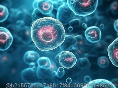 琼海免疫细胞注射多少钱?做免疫细胞的价格具体是多少