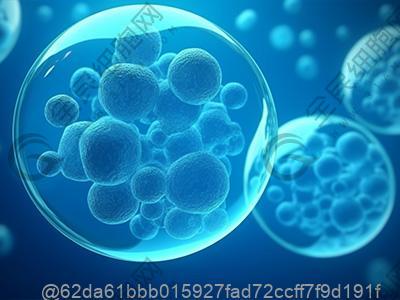 绵阳干细胞的注射费用是多少钱？附价格表