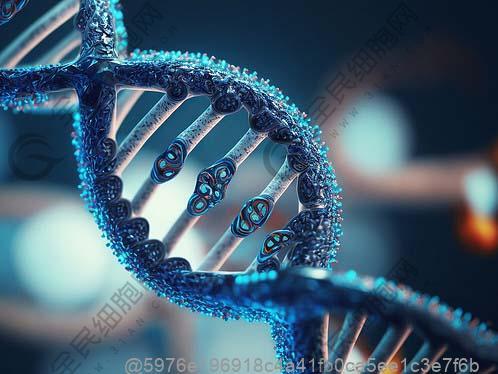 南充干细胞注射价格表，南充哪里可以打干细胞