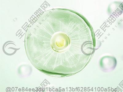 绵阳干细胞多少钱一针？做干细胞的价格具体是多少