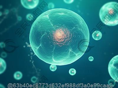 阿克苏干细胞治疗2型糖尿病医院排名