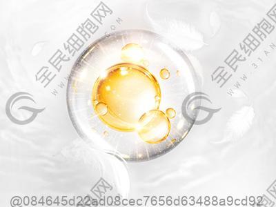 聊城干细胞机构有哪些，聊城干细胞机构名单公布