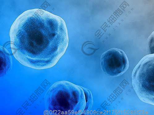 新密强直性脊柱炎干细胞治疗医院