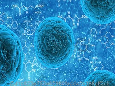 彩超4a穿刺是桥本氏甲状腺炎