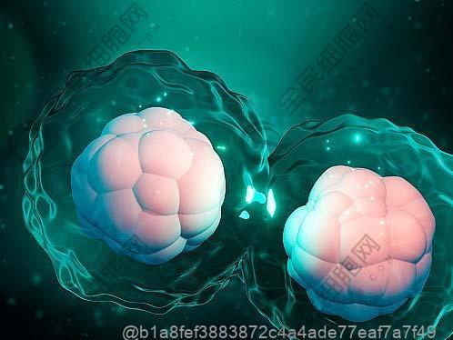 糖尿病临床表现症状