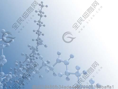打干细胞几天可以吃鱼子酱？