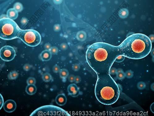 打干细胞6天可以吃什么水果补维生素C效果好？高效补维C​