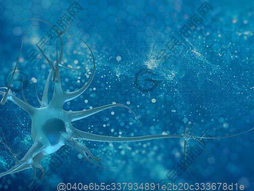 打干细胞4天可以吃什么水果补维生素效果好？高效补维​