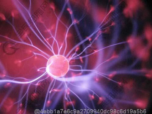 打干细胞26天后可以吃什么热性水果？
