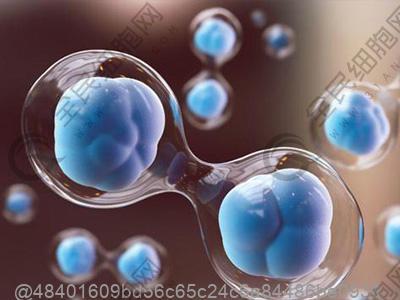 检查乳腺癌肿瘤标志物