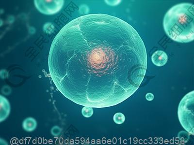 做完干细胞可以吃什么时令水果新鲜度高适合现吃？现吃高新鲜​