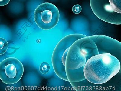 打了干细胞三周可以吃什么水果补碳水化合物快？快速补碳水​
