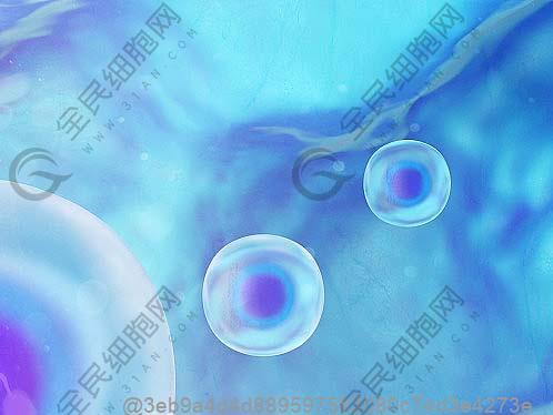 刚打干细胞吃火锅后皮肤发红正常吗？​
