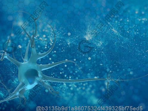 干细胞回输后生活饮食注意事项，青海用户高原寒冷地区高热量饮食搭配原则​