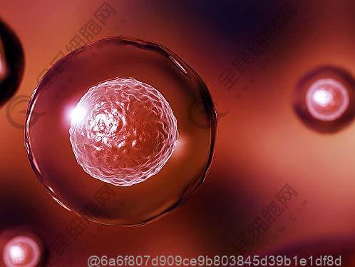 年轻人不孕不育跟饮食有关系吗