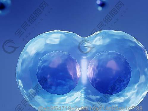 做ct平扫检查出来肺部有东西