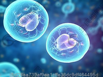 婚姻如何保持新鲜 婚姻保鲜可防婚外恋发生